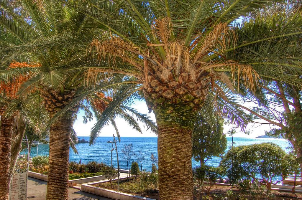 Vasiliki Seaside Apartments Petrovac Eksteriør bilde